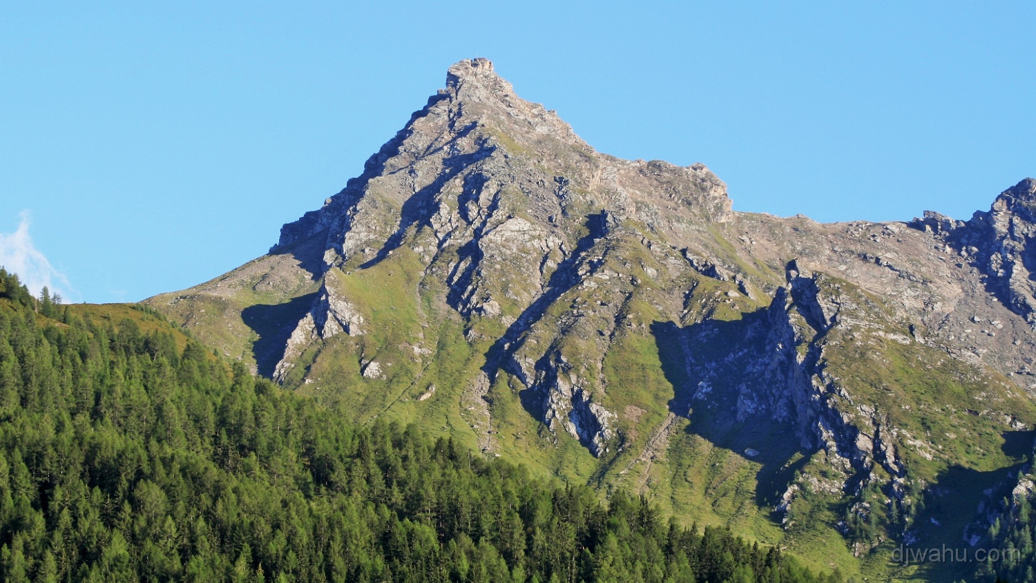 IMG_0342-Hoger-Zirma-20060818.jpg