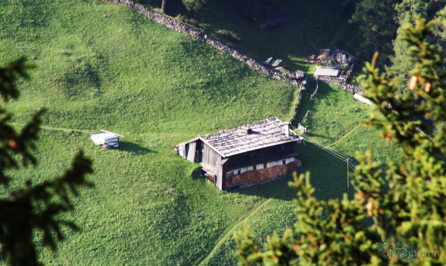 IMG_0606-Ludler-20060819.jpg
