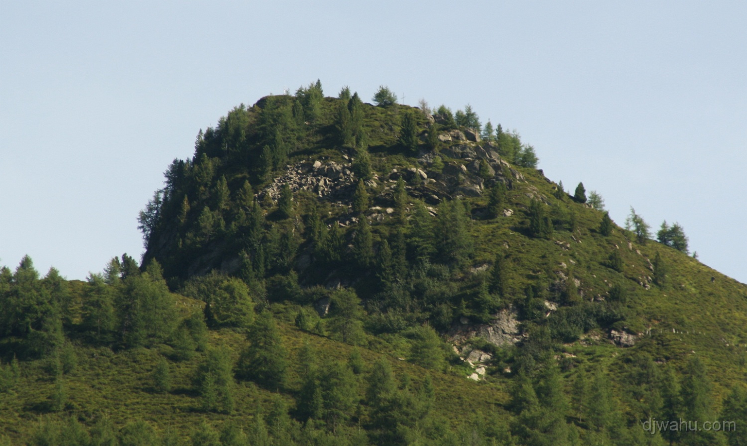 IMG_9846-Rauher-Kopf-20080810.jpg