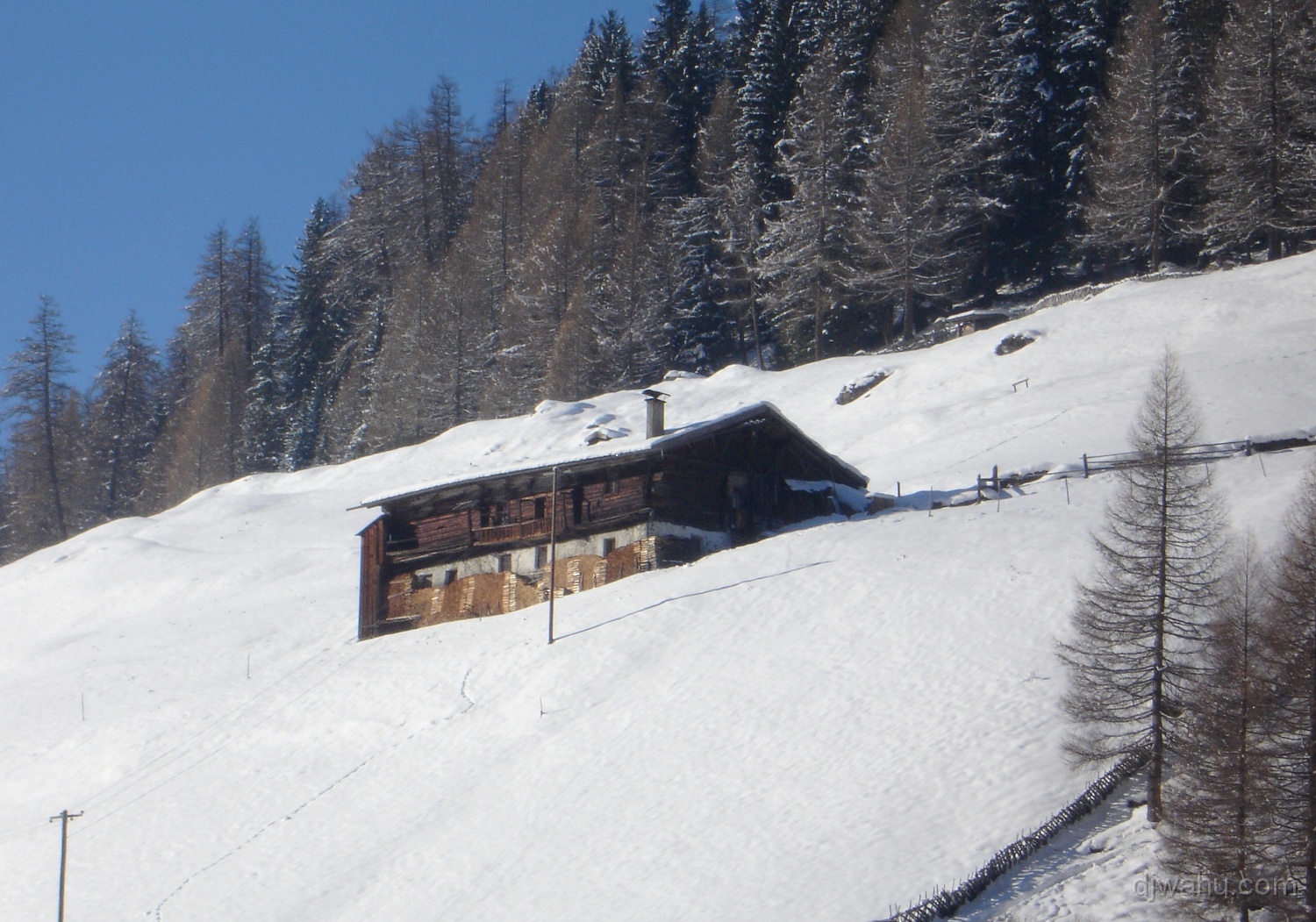 DSC04486-Ludler-Winter-20051210.JPG