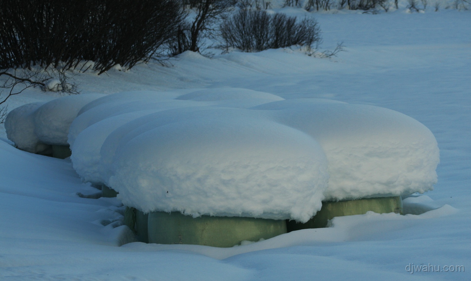 IMG_0343-Siloballen-Schnee-20081225.jpg