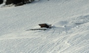 IMG_0300-Stadel-Schnee-20081225