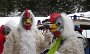 DSC04795-Vogelgrippe-