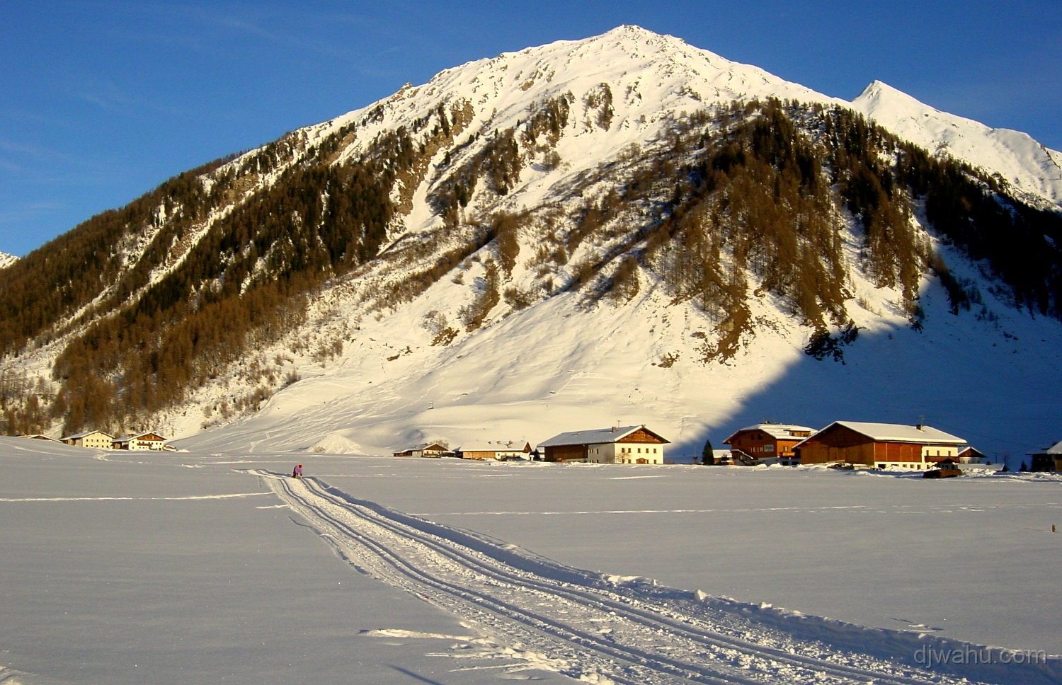 DSC01398-Loipe-Hochmark-20020117.JPG