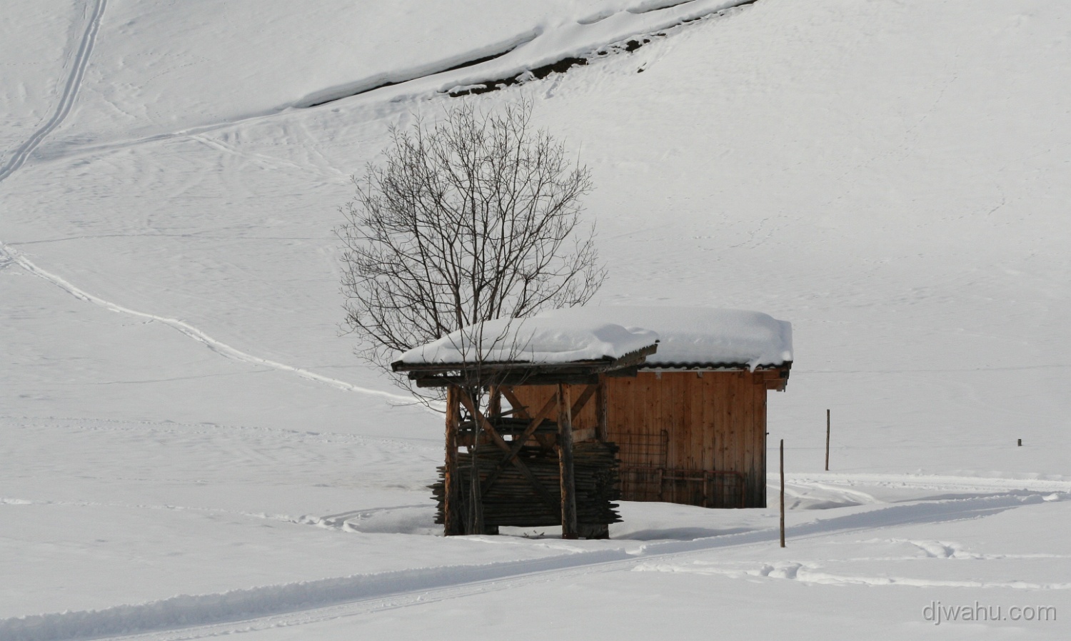IMG_7765-Stadel-20080119.jpg