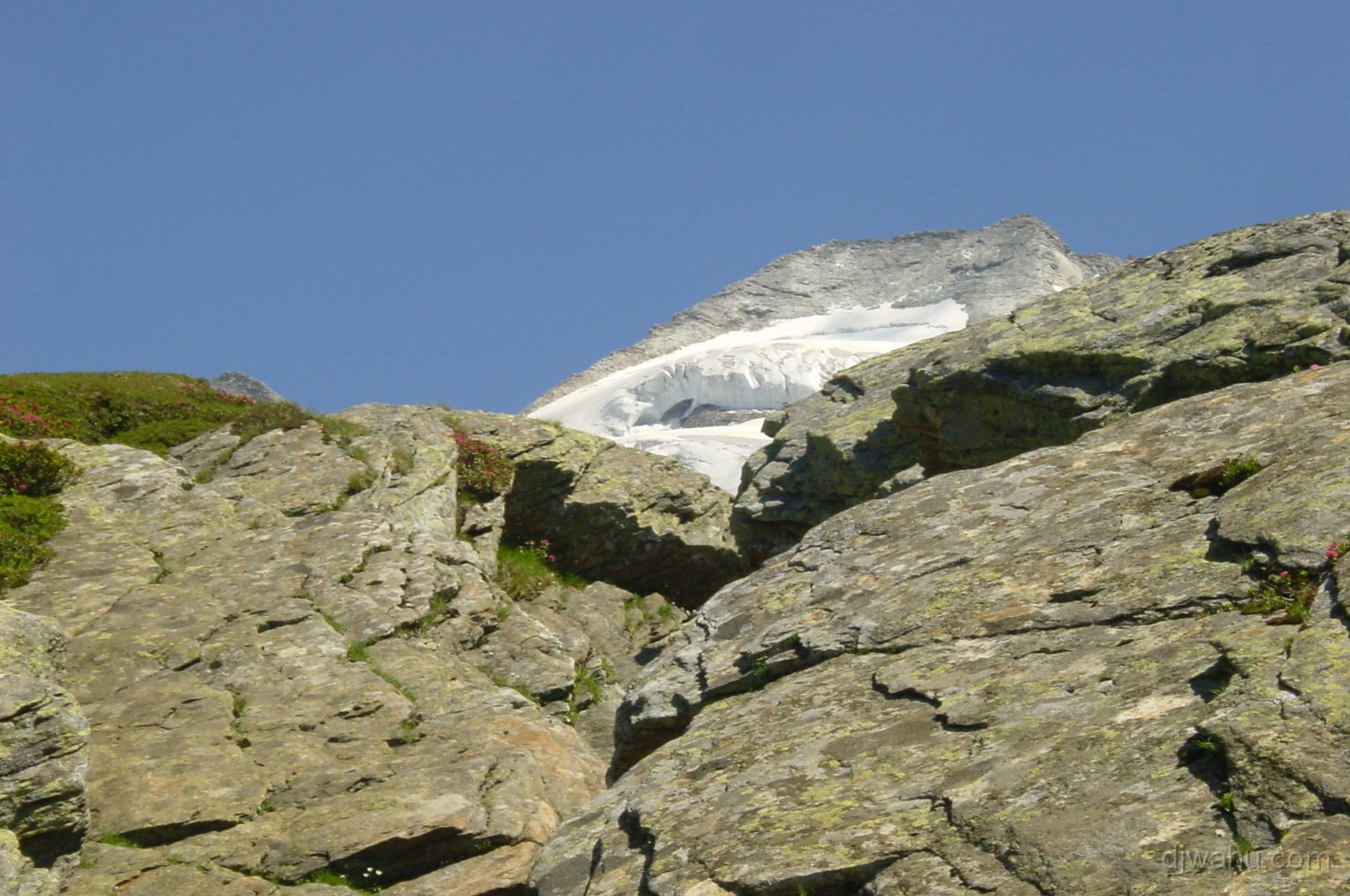 DSC03302-OlpererHinter-Fels-20030621.JPG