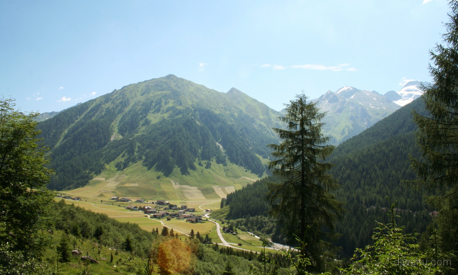 IMG_9222-Toldern-Olperer-20080629.jpg