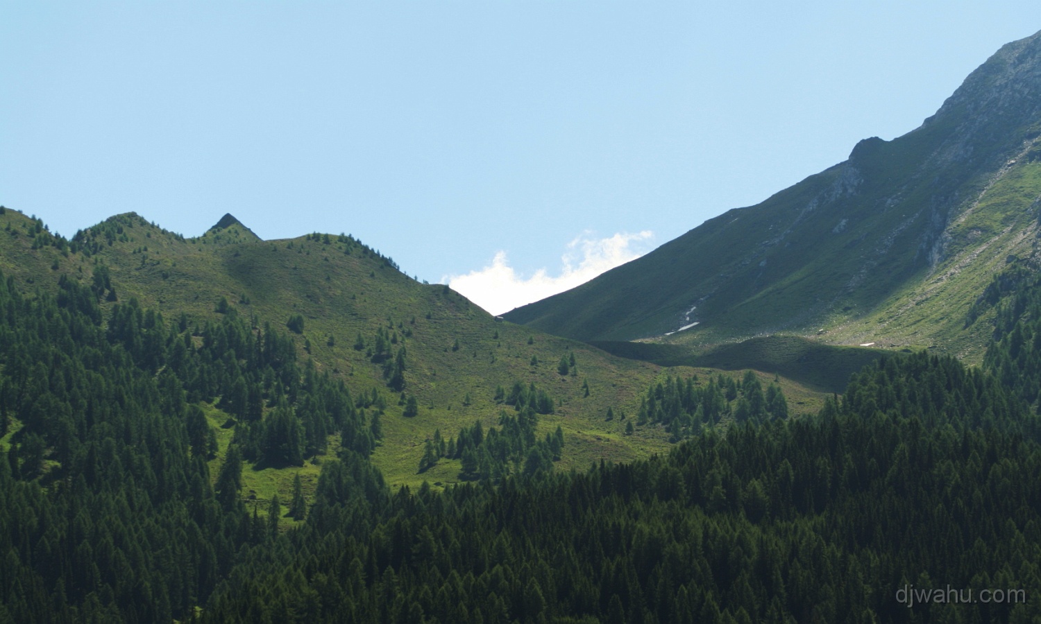 IMG_9285-Zirma-20080629.jpg