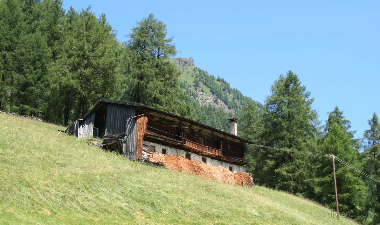 IMG_9308-Ludler-Sonnenkopf-20080629.jpg