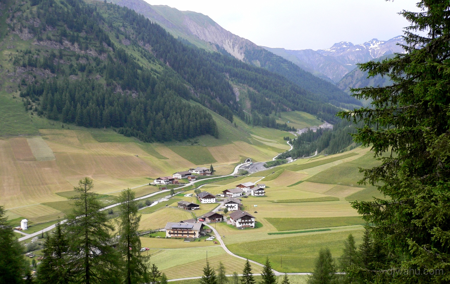 P1000131-Hochmark-Reckner-20050622.JPG