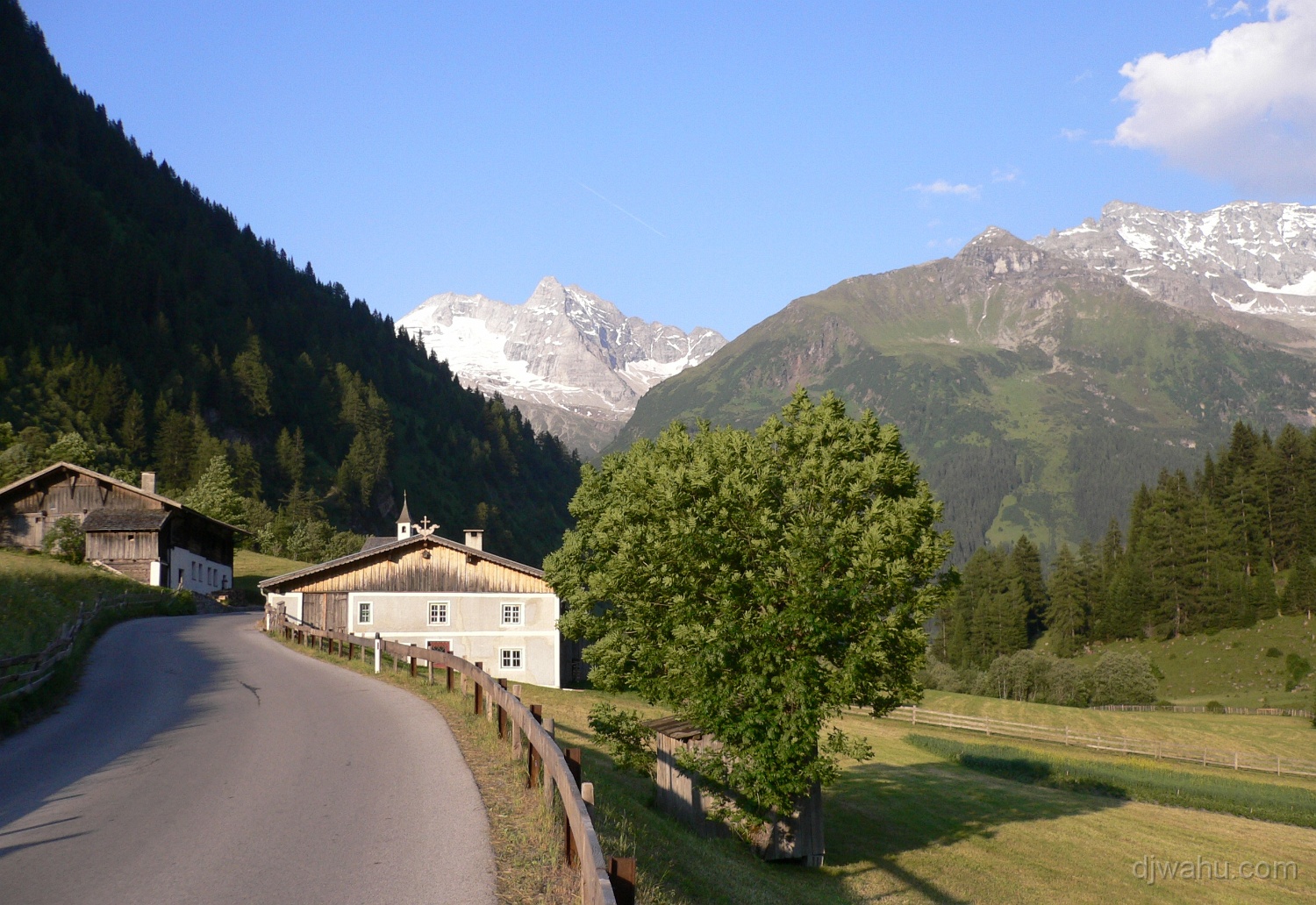 P1000224-Vals-Olperer-20050623.JPG
