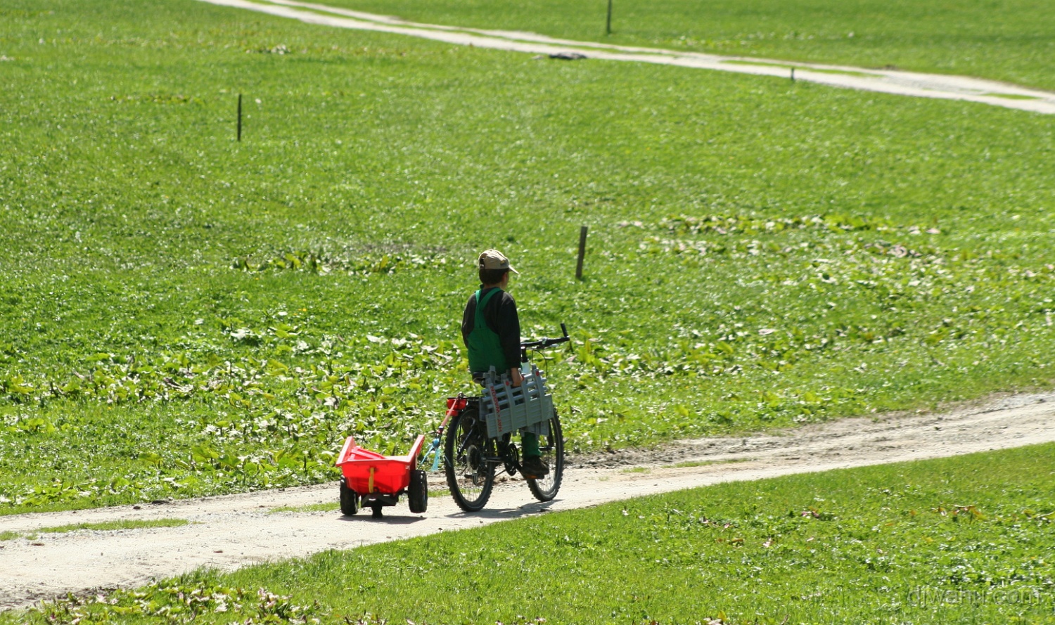 IMG_8281-Der-Weg-20080524.jpg