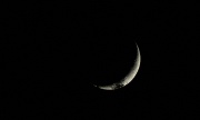 IMG_4344-Mond-Baum-20070519