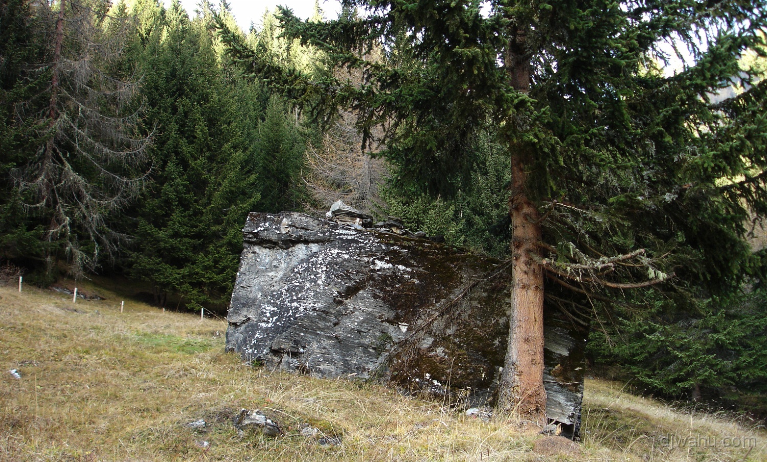 DSC05981-Dachsgufel-20061118.jpg