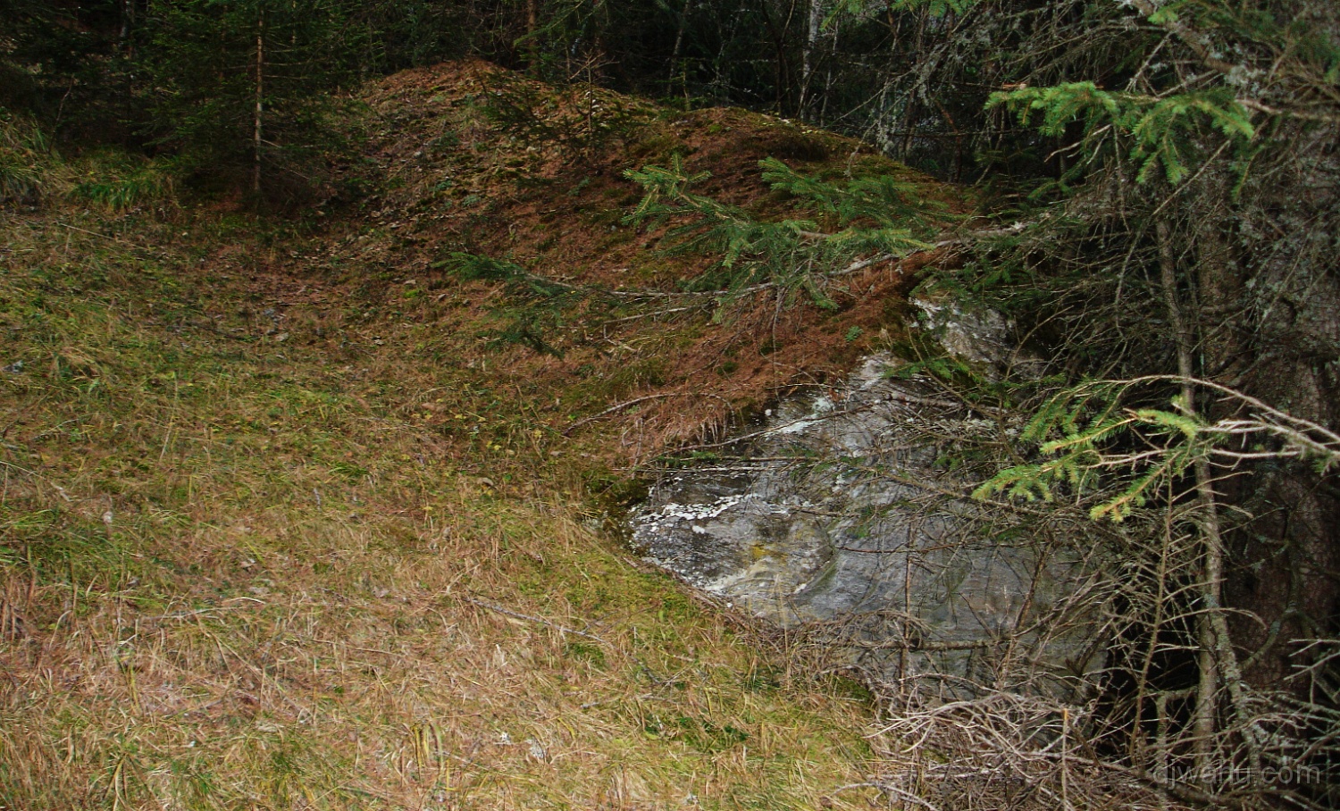 DSC06001-Warzenkrautstein-20061118.jpg