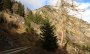 DSC05967-BaumBacheralm