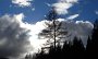 DSC05969-BaumWolken