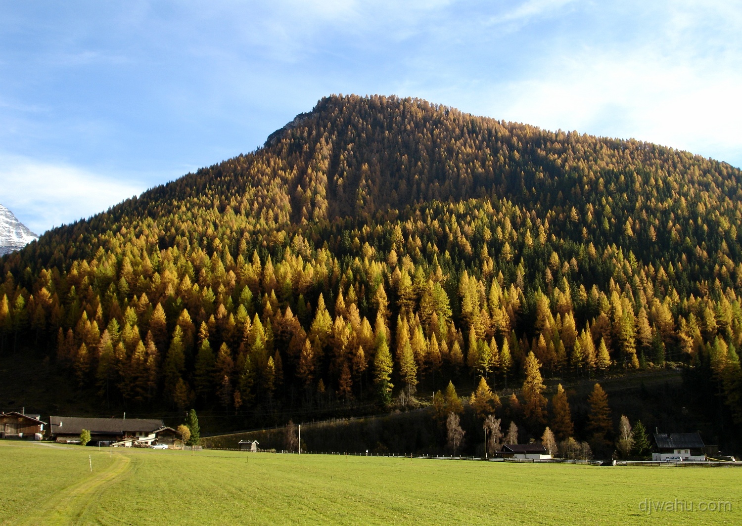 DSC04180-WeisseWand-im-Herbst-20051026.JPG