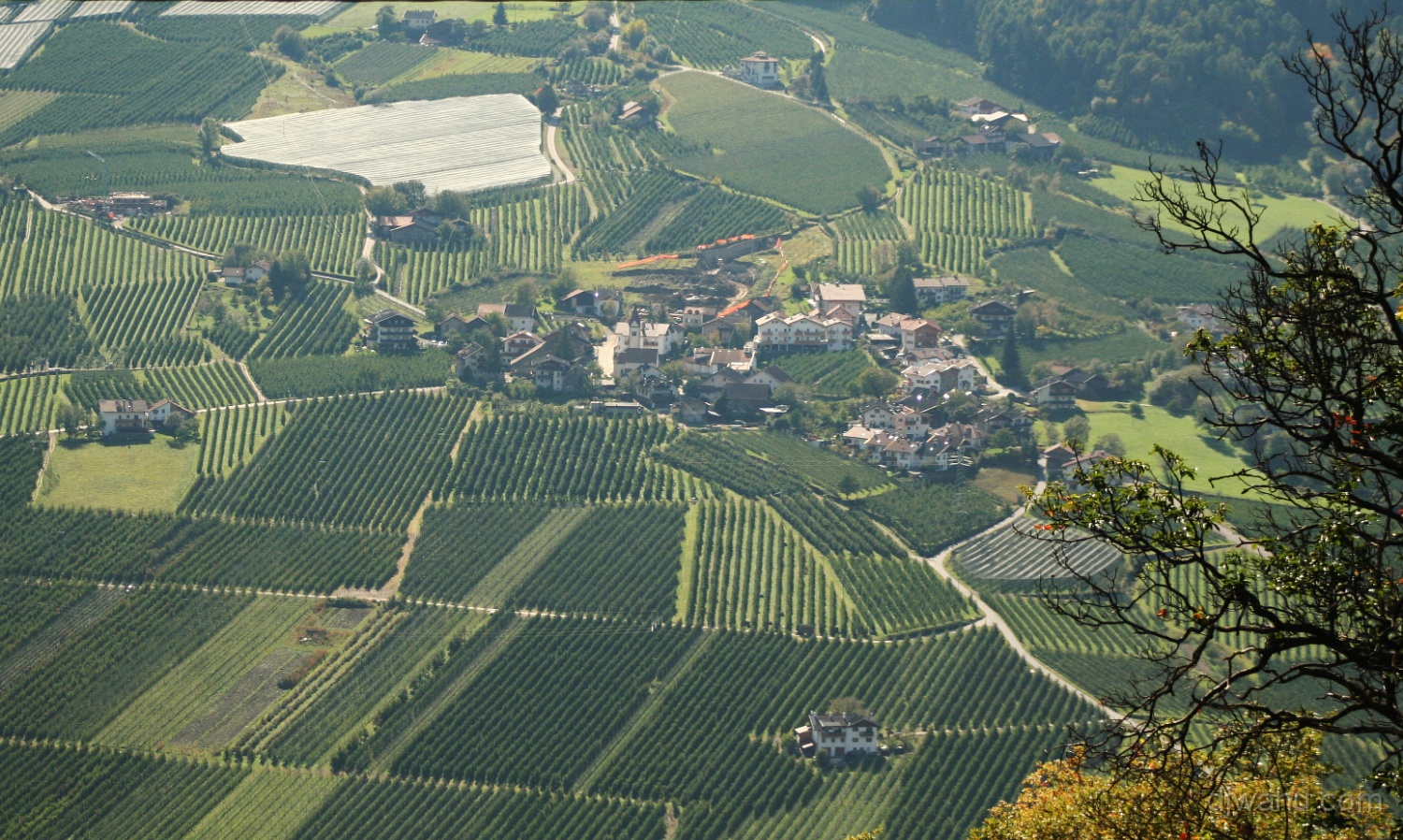 IMG_7071-Bei-Naturns-Vinschgau-20071003.jpg